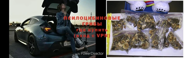 скорость Покачи