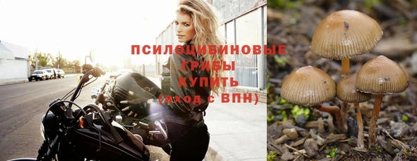 винт Покров