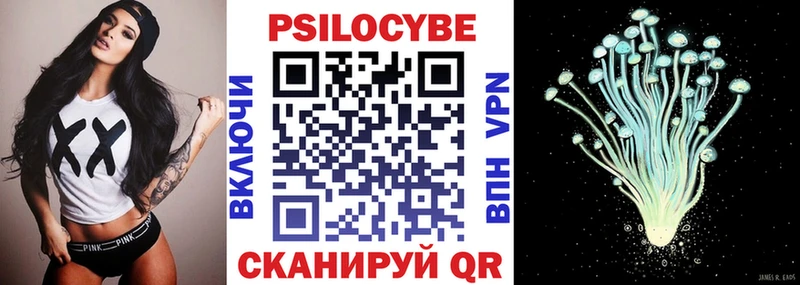 Купить где  Дербент  Галлюциногенные грибы Cubensis